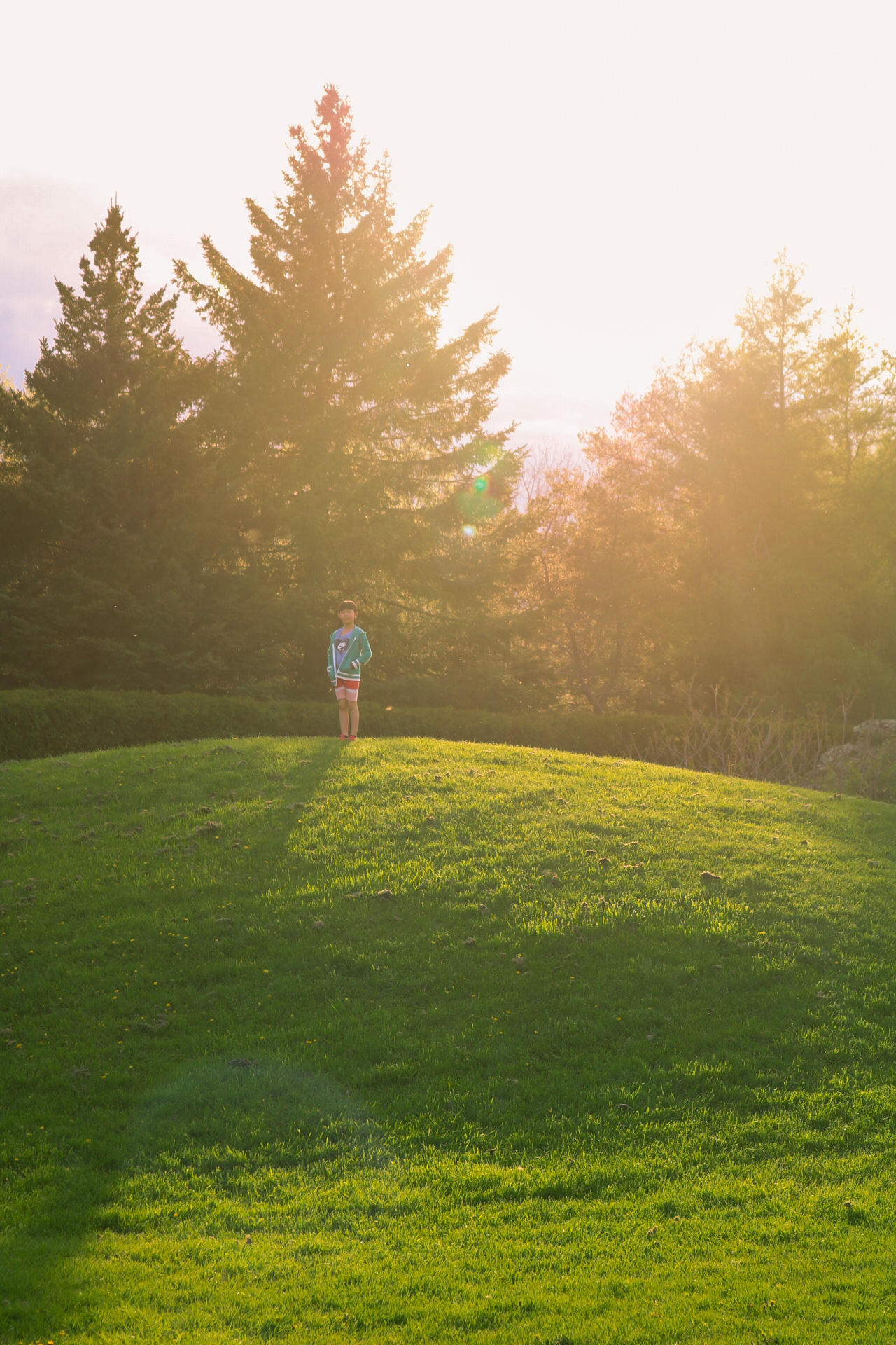 A little girl standing on top of a hill during golden hour