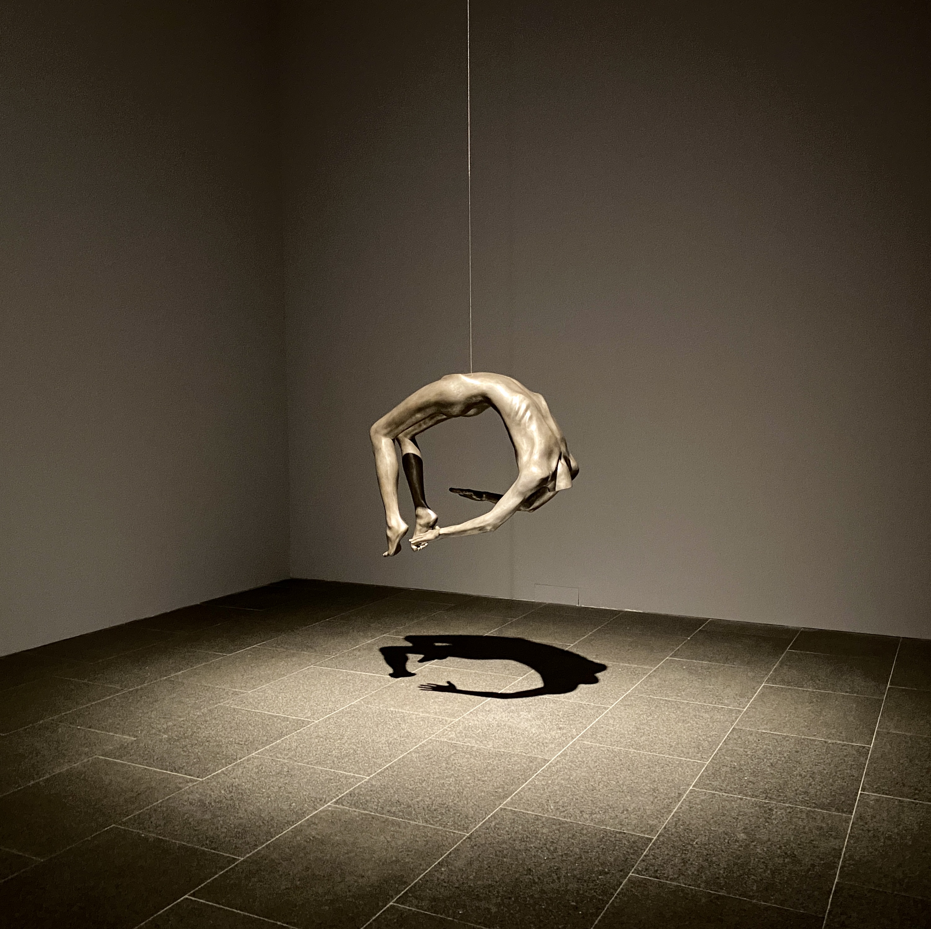 An arched sculpture suspended in the air