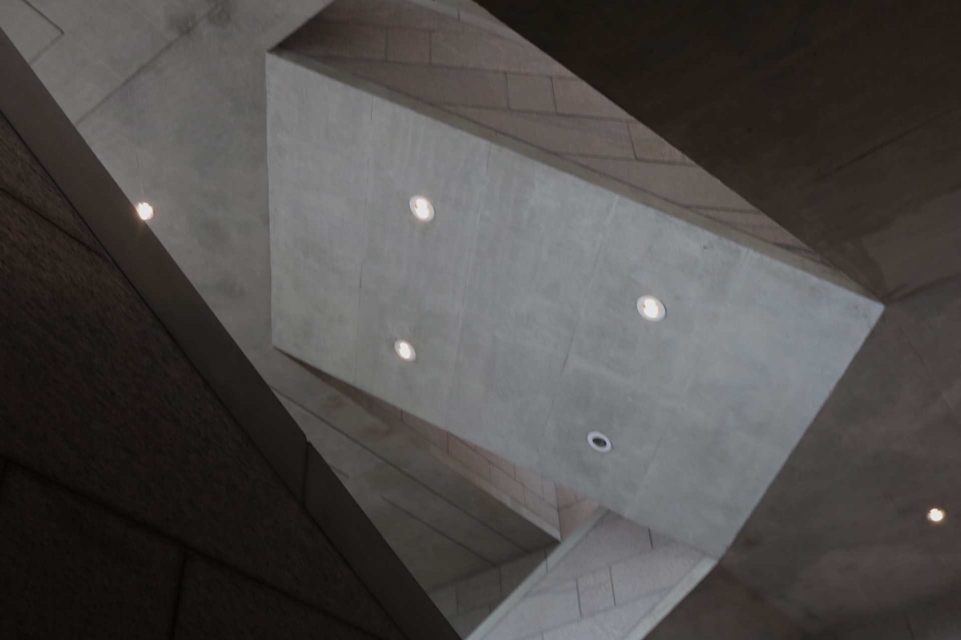 The ceiling of a museum